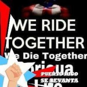 Meet your Posher, Ivan